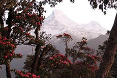 Daulaghiri Nepal