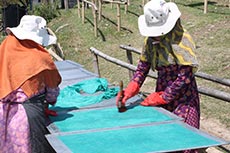 Frauen beim Bemalen von Loktapier Nepal